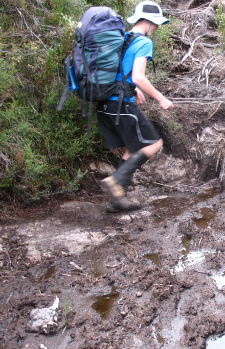 Flat Rock Plain track