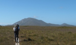 Leaving Melaleuca