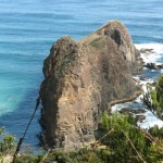 Lion Rock South Coast Track