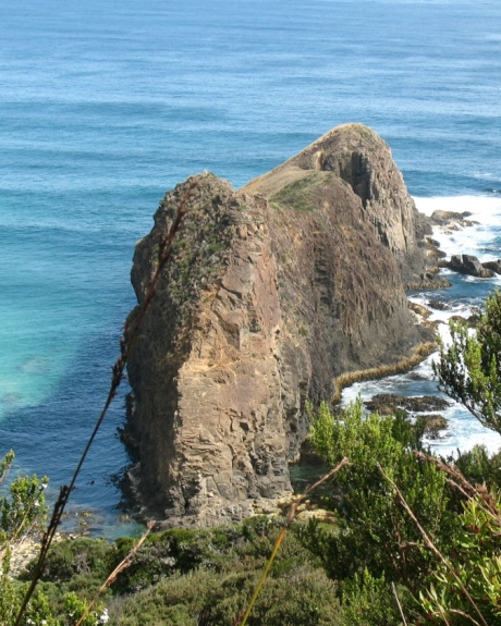 Lion Rock South Coast Track