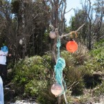 South Coast Track markers