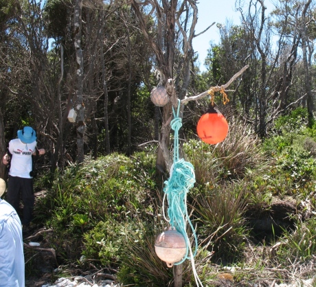 South Coast Track markers