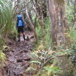 Muddy Flat Rock Plain