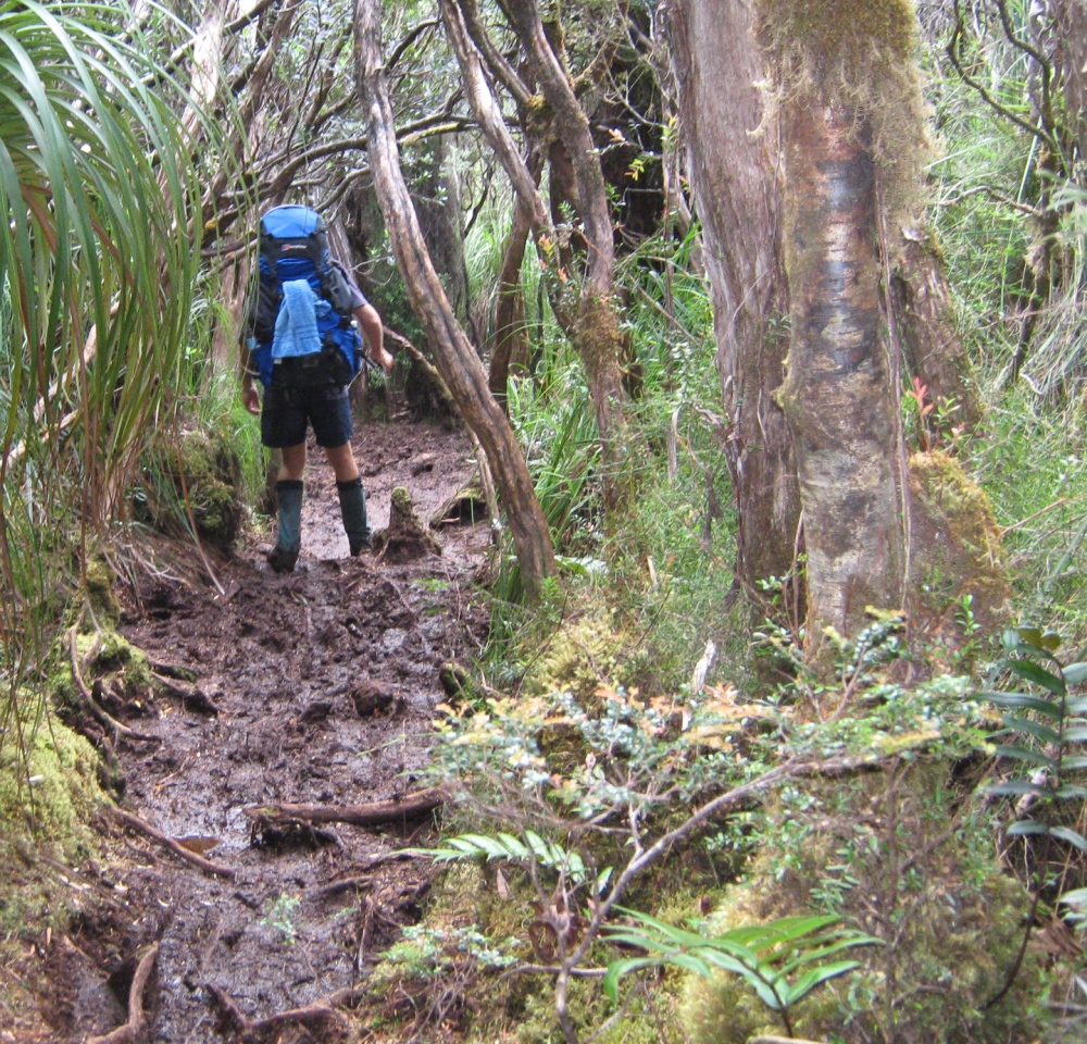 Granite Beach to Lion Rock