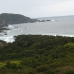 View from Rocky Plains - South Coast Track