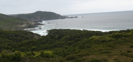 View from Rocky Plains - South Coast Track